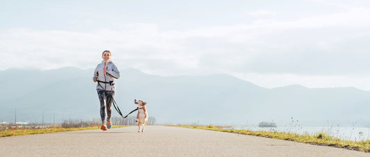 Keeping Your Active Dog Healthy: Essential Tips for a Vibrant Life