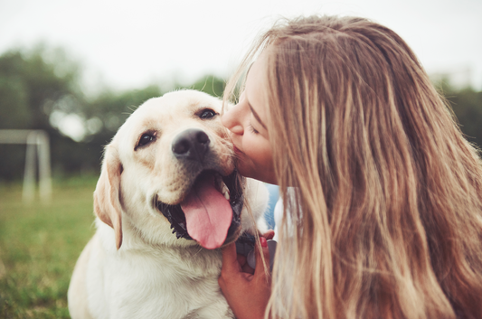 Unleashing Wellness: The Surprising Health Benefits of Dogs for Humans