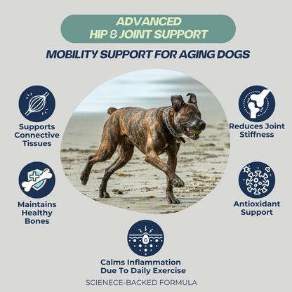 Dogletics Advanced Hip & Joint Support