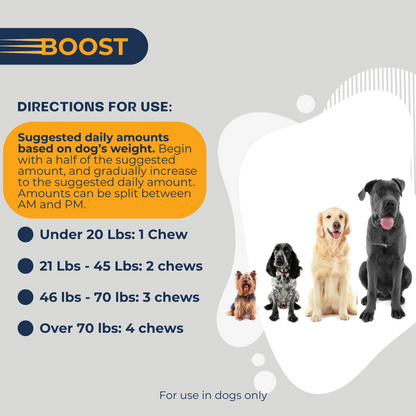 Dogletics Boost - 11 in 1 Multivitamin Performance, Recovery, & Longevity