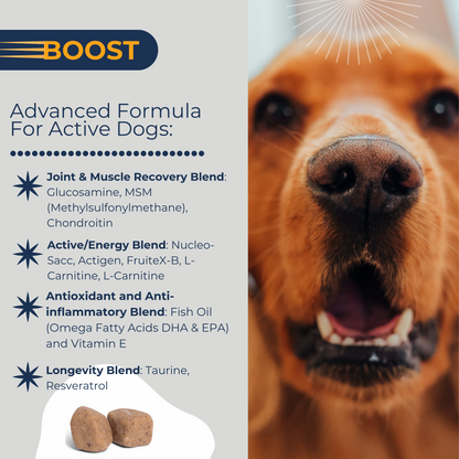 Dogletics Boost - 11 in 1 Multivitamin Performance, Recovery, & Longevity