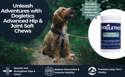 Dogletics Advanced Hip & Joint Support