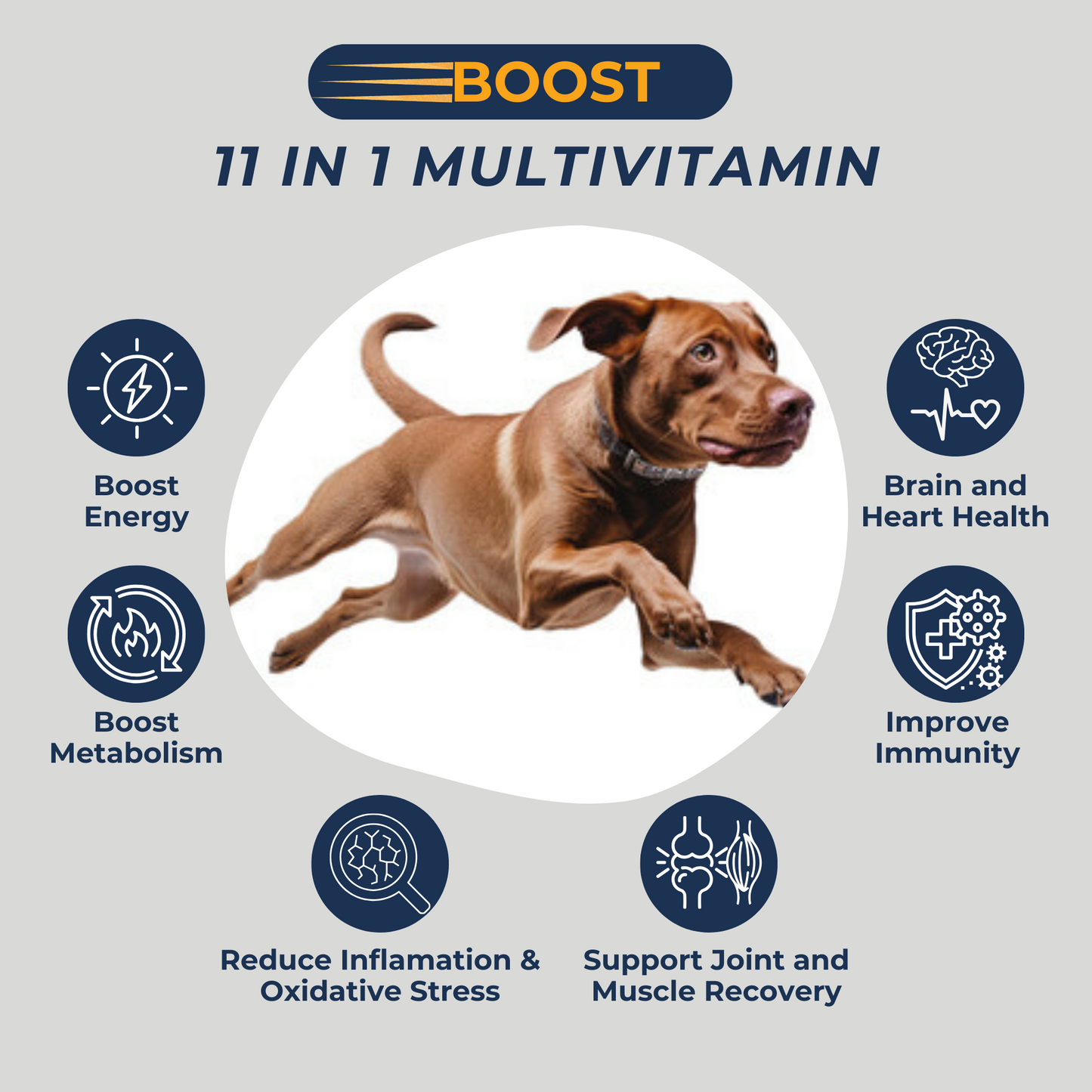 Benadryl Dosage Tagamet And Benadryl For Mast Cell Tumors