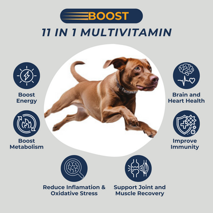 Dogletics Boost - Support Energy, Endurance, Recovery & Longevity
