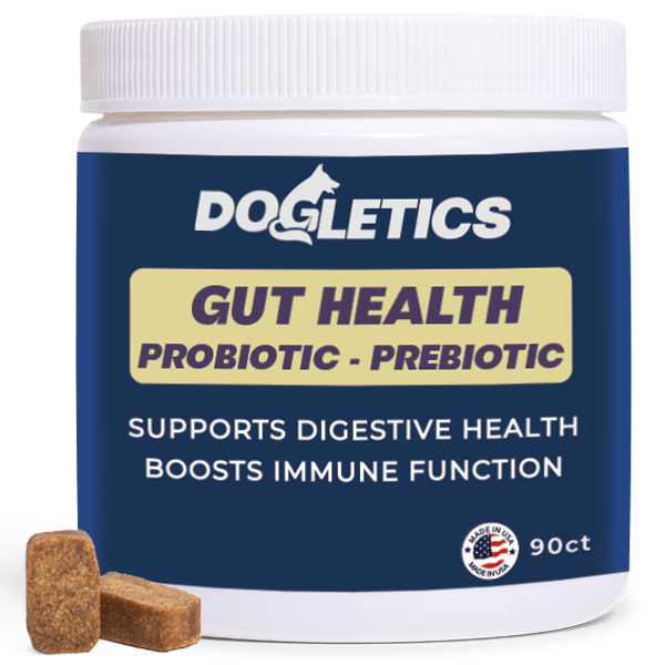 Gut Health Probiotic Prebiotic Supplement
