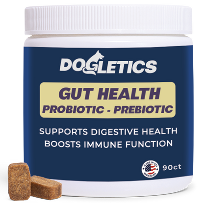 Gut Health Probiotic Prebiotic Supplement