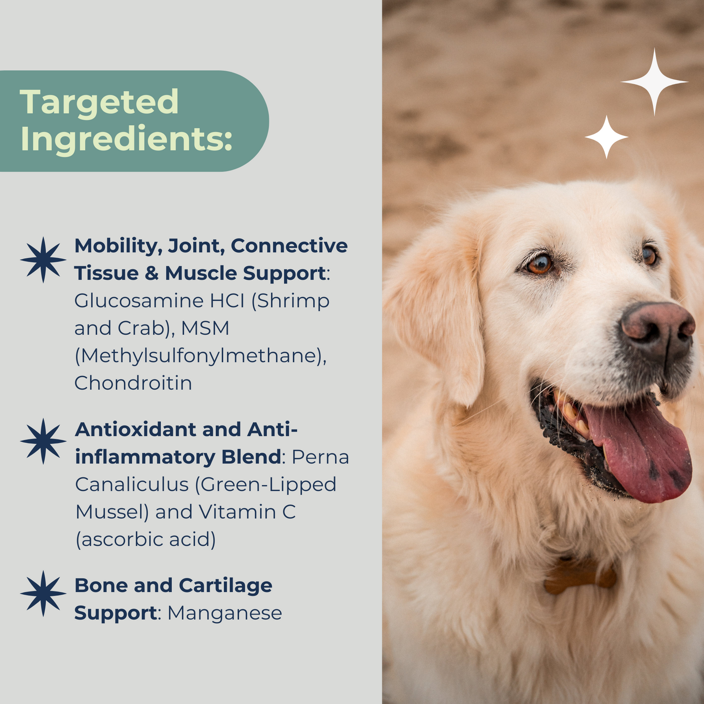 Dogletics Advanced Hip & Joint Support