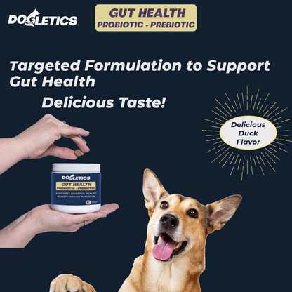 Gut Health Probiotic Prebiotic Supplement