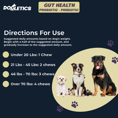Gut Health Probiotic Prebiotic Supplement