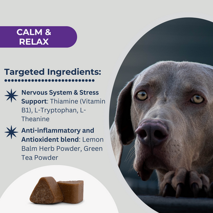 Dogletics Calm & Relax Supplement for Dogs